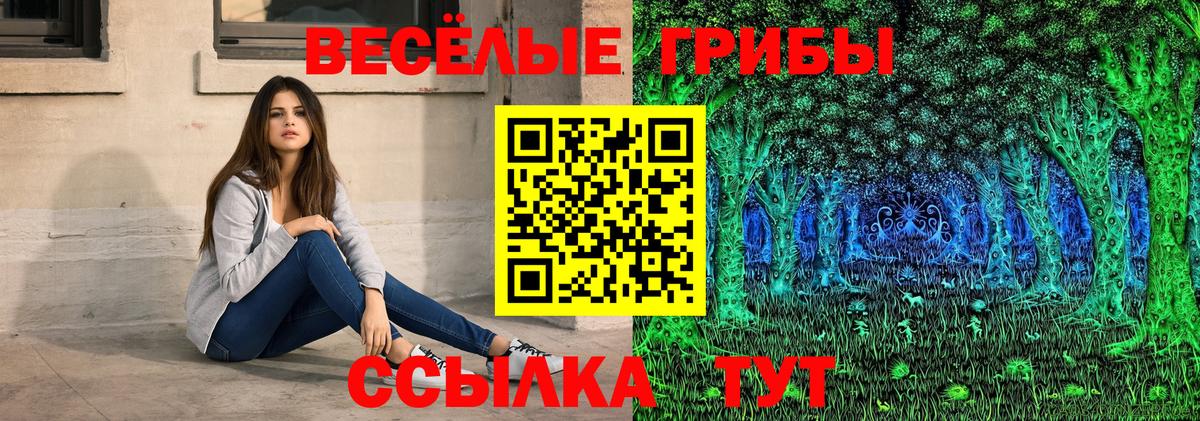 Галлюциногенные грибы GOLDEN TEACHER Кингисепп